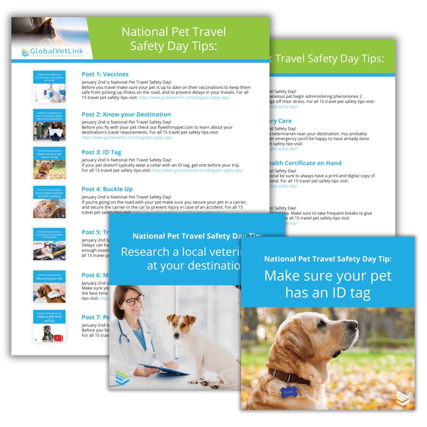 Pet Safety Toolkit.jpg